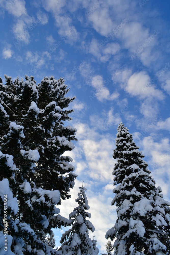 Winter forest in the Ural Mountains, Russia, Chelyabinsk region, Minyar. Pushkin's fairy tale Winter forest in the Ural Mountains, Russia, Chelyabinsk region, Minyar. Pushkin's fairy tale