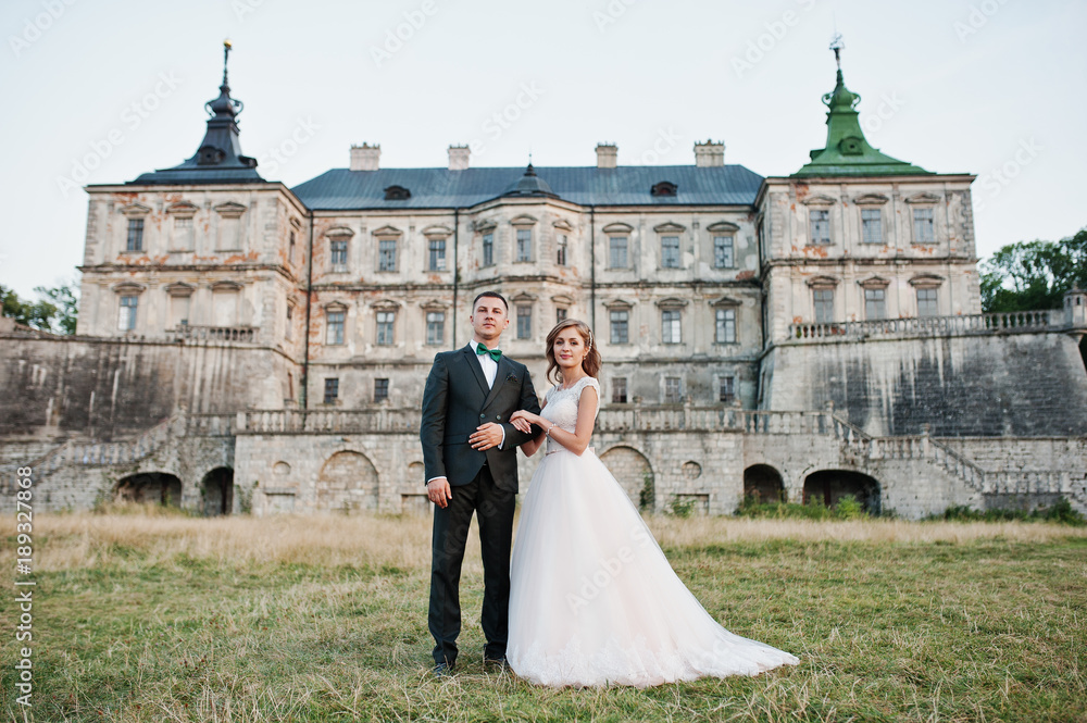 Fabulous wedding couple posing in front of an old medieval castle in the countryside on a sunny day. Fabulous wedding couple posing in front of an old medieval castle in the countryside on a sunny day.