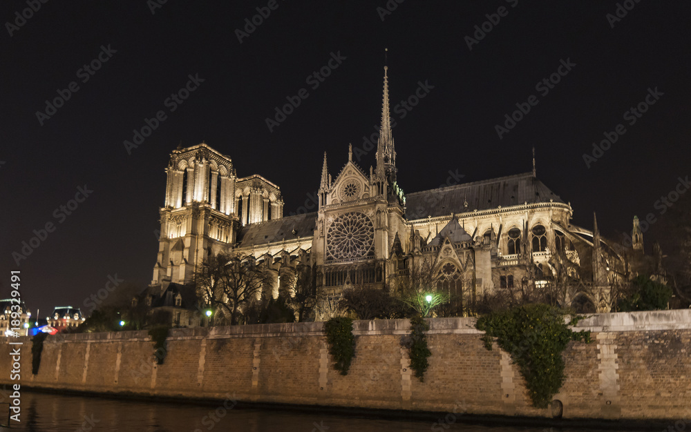 Notturno Notre Dame de Paris