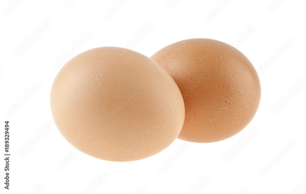 chicken egg isolated on white background chicken egg isolated on white background