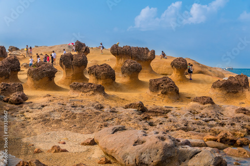 Visitors at the Yehliu Geopark in Taiwan are admiring a group of mushroom rocks covered with holes of different sizes which appear like honeycombs. photo