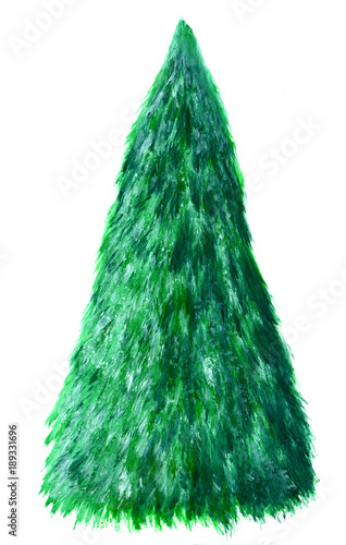 Pine tree in watercolor