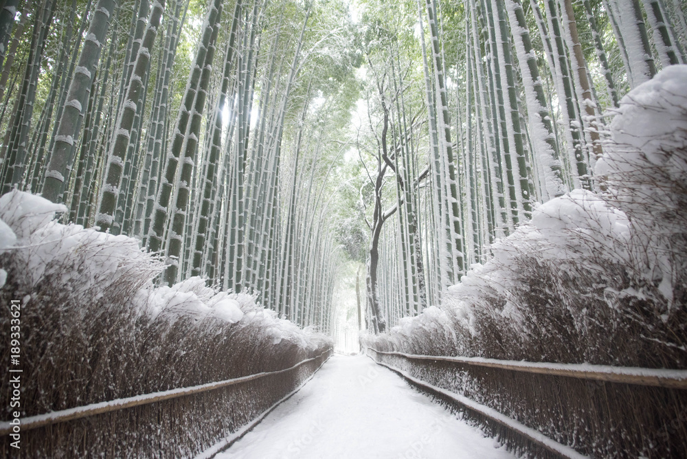 Naklejka premium Kioto Arashiyama bambusowy las śnieżna scena