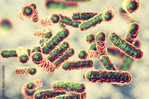 Bartonella quintana bacteria, the causative agent of trench fever, formerly known as Rochalimaea bacteria, 3D illustration photo