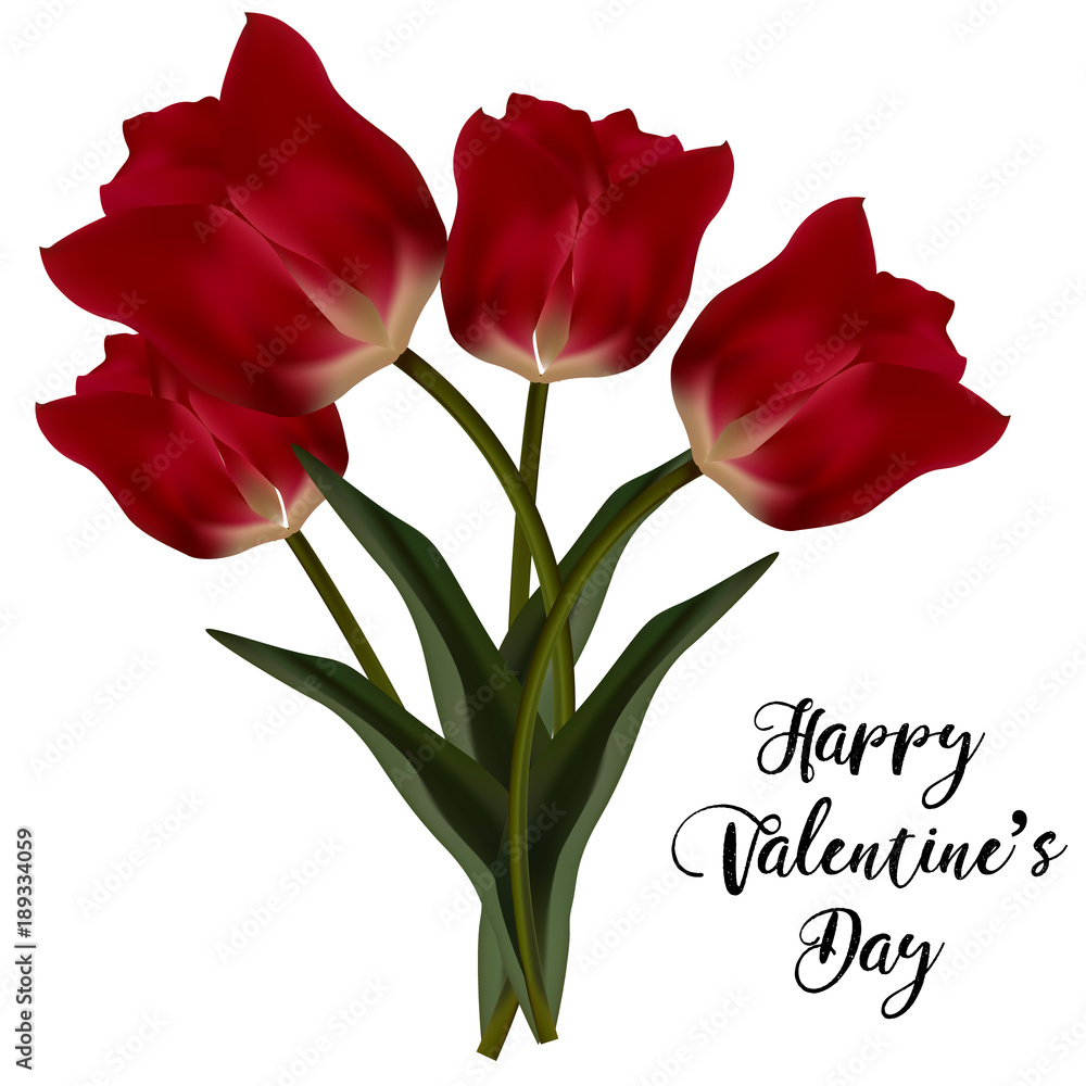 Valentines day greeting card with tulips flowers. Vector illustration EPS10 Valentines day greeting card with tulips flowers. Vector illustration EPS10