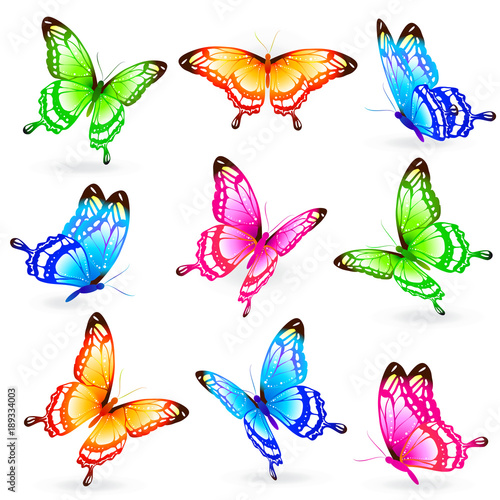 beautiful color butterflies,set, isolated on a white