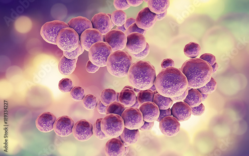 Bacteria Peptococcus, anaerobic Gram-positive cocci, they are part of human microbiome in intestine and also cause inflammations of different location, 3D illustration photo
