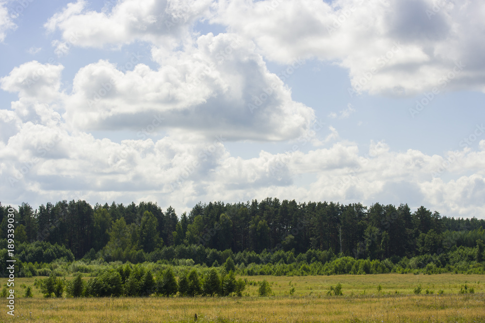 Russian field in the village in summer Russian field in the village in summer