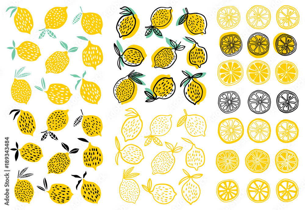Lemon vector illustration Lemon vector illustration