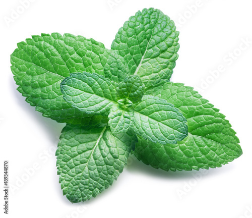 Spearmint or mint on white background. Top view.