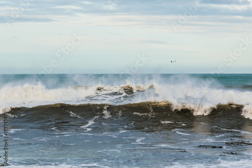 Kaka Point Beach in the Catlins, New Zealand