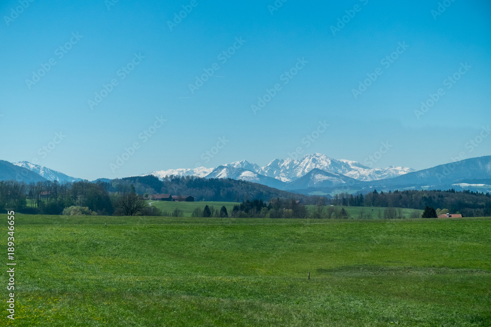 Snowy Alps mountains behind a green meadow