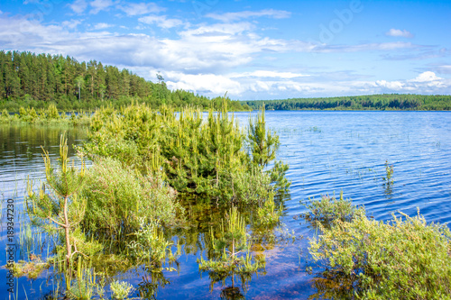 Forest Lake. summer landscape. blue sky reflected in clear water