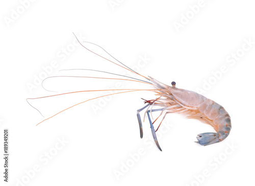 Raw shrimps isolated on white background © SAKORN