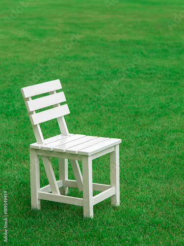 wood chair on nature green grass background. concept for product display template