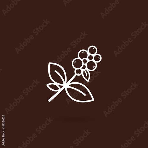 Coffee plant icon. Coffee tree branch with berries with brown background. Coffee bean with leaf on white isolated background. Branch of coffee icon in line style design. Vector illustration