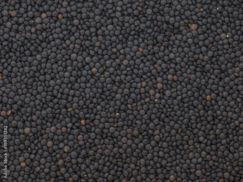 Dried Black Lentils Dried Black Lentils