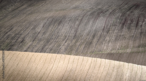 spring field abstract nature background photo