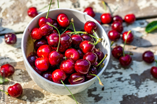 Close up of a bowl of freshly picked cherries placed on a white rustic table in the garden. Shallow depth of focus. Concept farming.