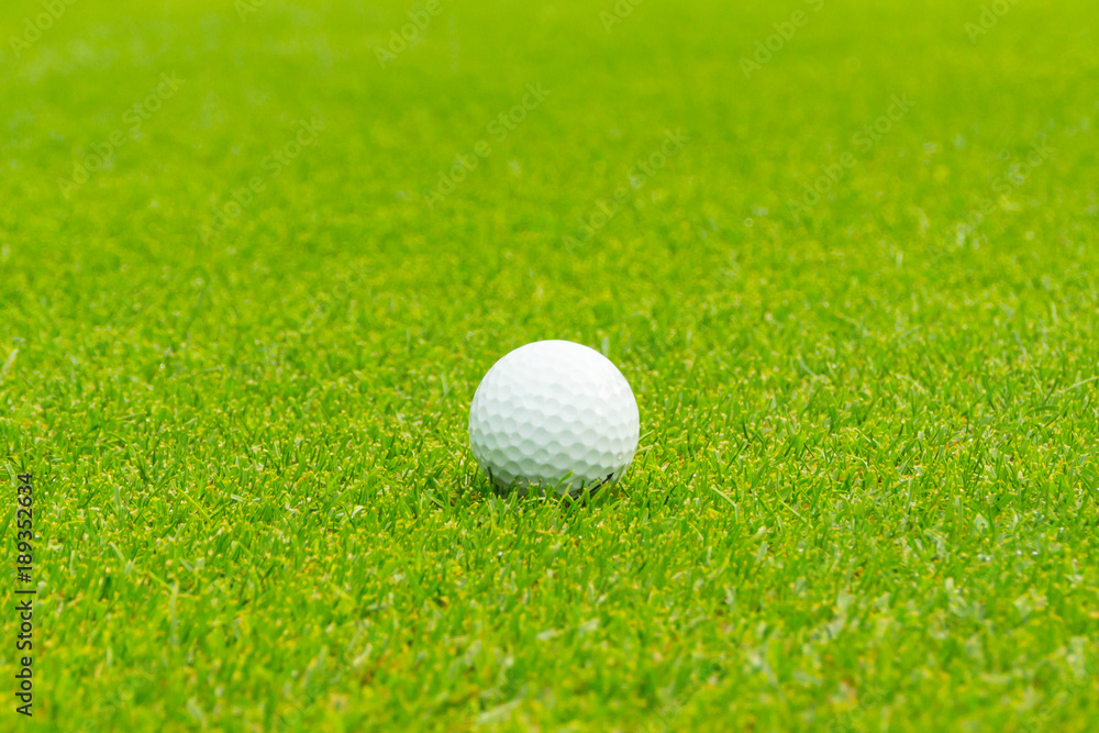 Golf ball on the green Close up.