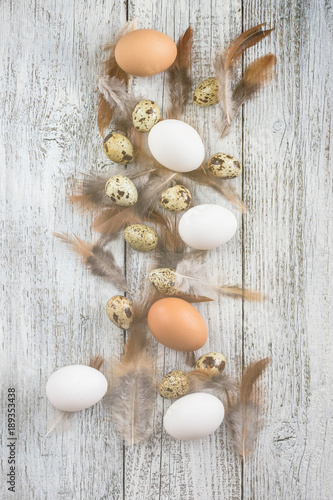 Easter background made from Easter eggs and chicken feathers frame.