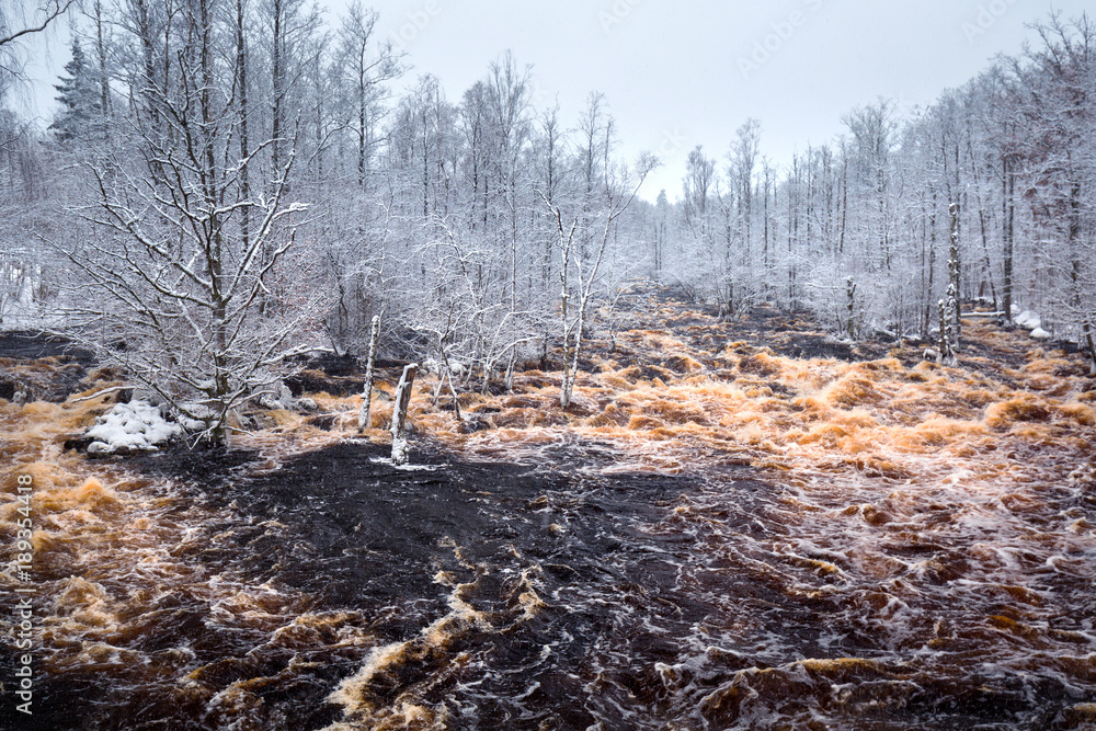 Fototapeta premium Wild Morrum river in snowy winter, Sweden