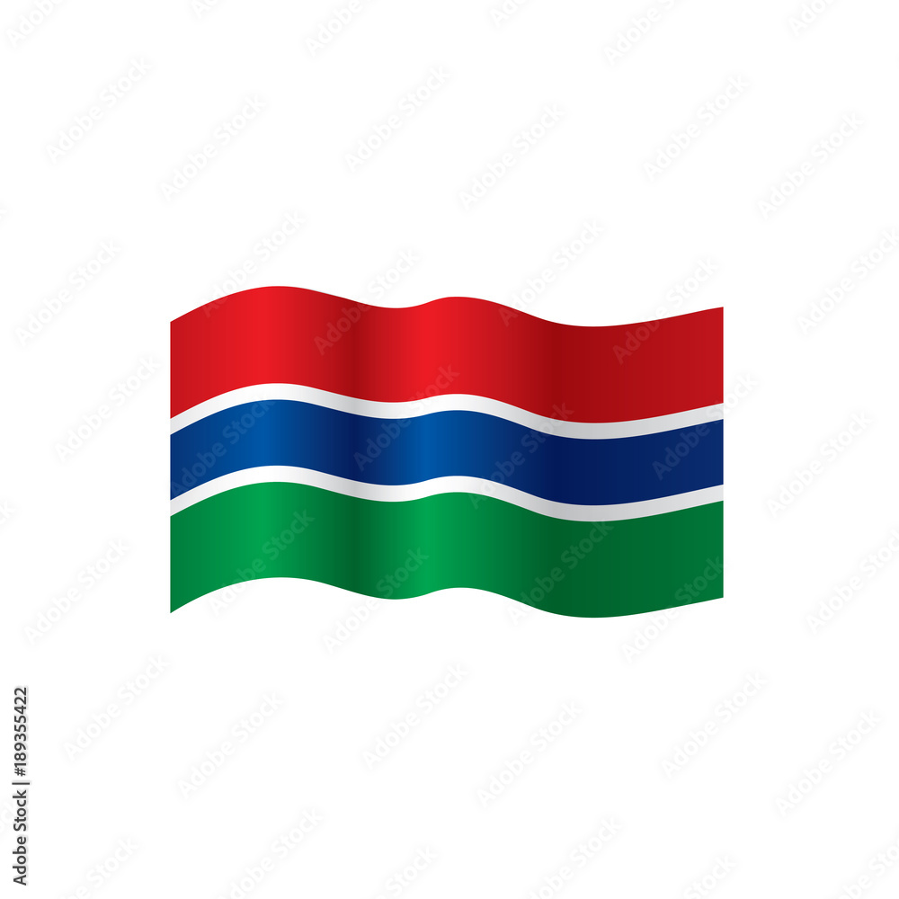 Fototapeta premium Gambia flag, vector illustration
