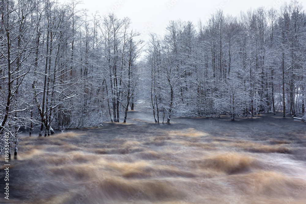 Wild Morrum river in snowy winter, Sweden Wild Morrum river in snowy winter, Sweden