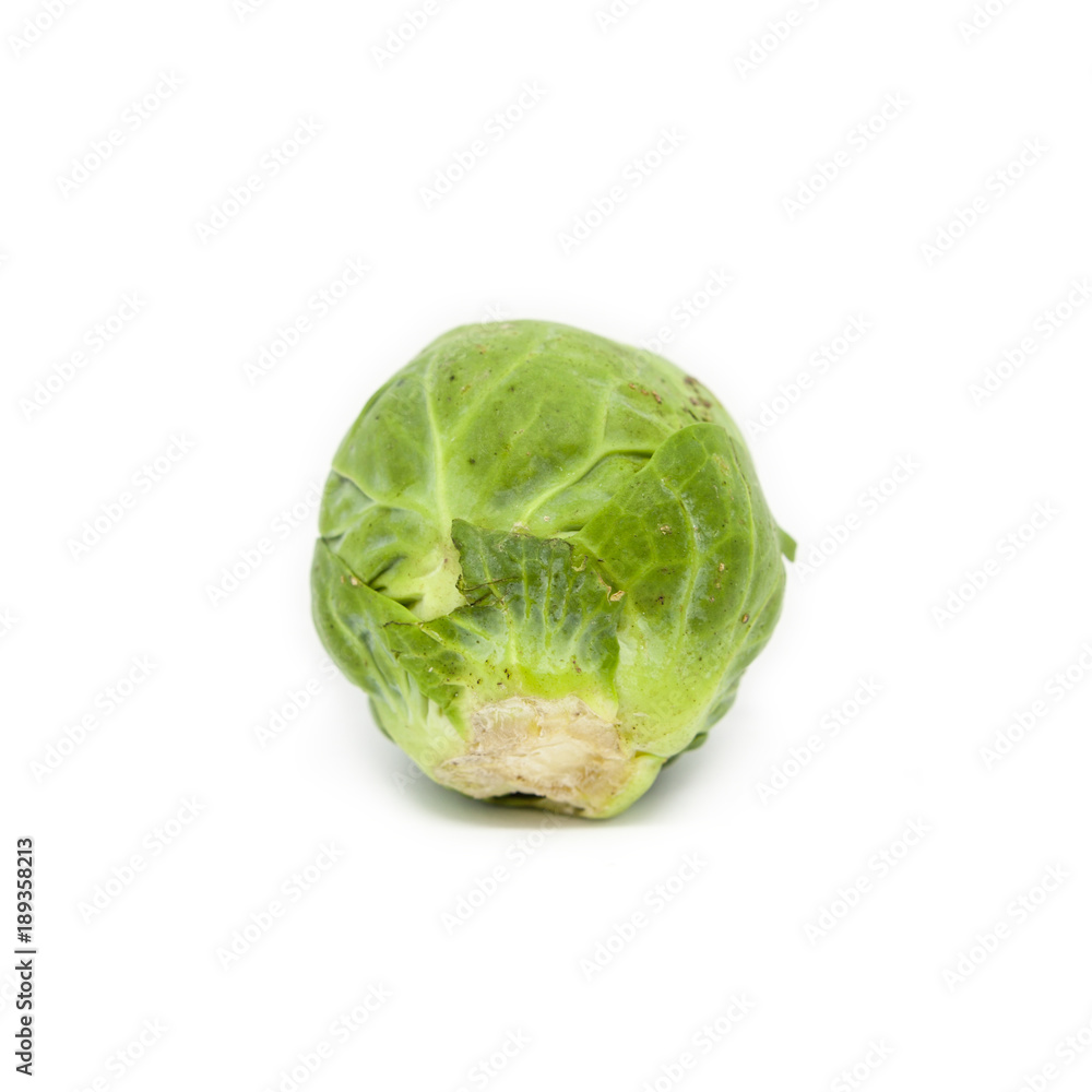 Fototapeta premium A Brussels sprout isolated on a white background