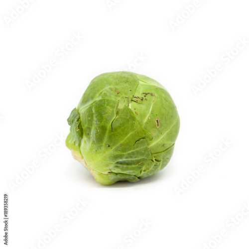 A Brussels sprout isolated on a white background