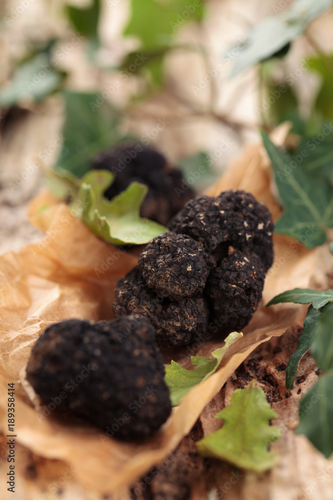 Black truffles on table. Black truffles on table.
