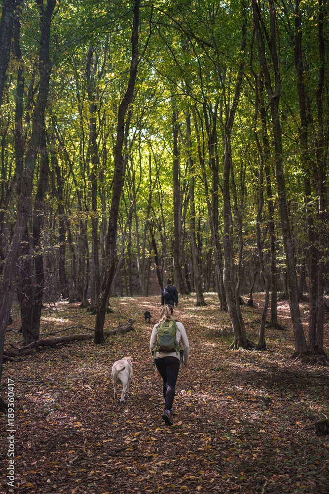 People with dogs in the fall forest autumn People with dogs in the fall forest autumn