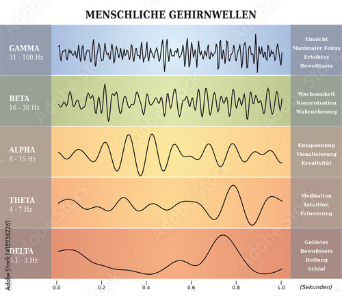 Ondes Cérébrales Humaines Diagramme / Illustration Multicolore - Texte et Explications en Allemand