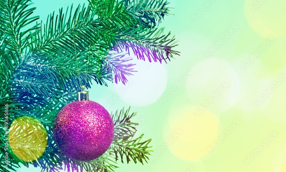 Fototapeta premium Christmas.