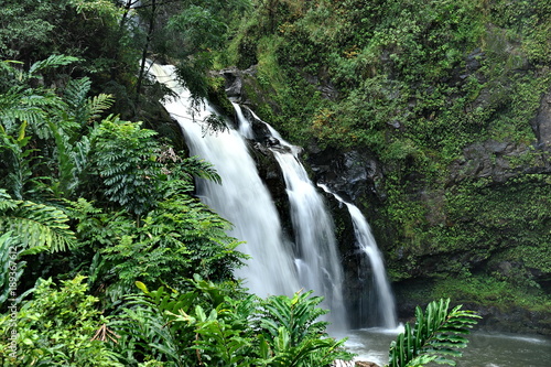 Fototapeta Naklejka Na Ścianę i Meble -  Waterfall in the forest on the island of Maui, Hawaii