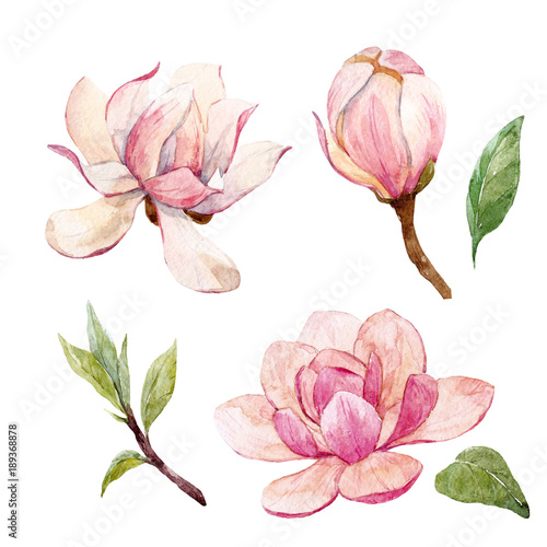 Watercolor magnolia floral composition