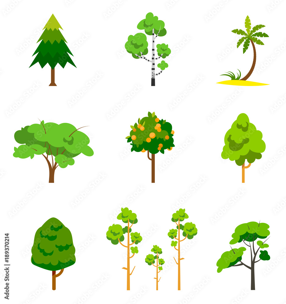 Fototapeta premium Different tree set, vector illustration.