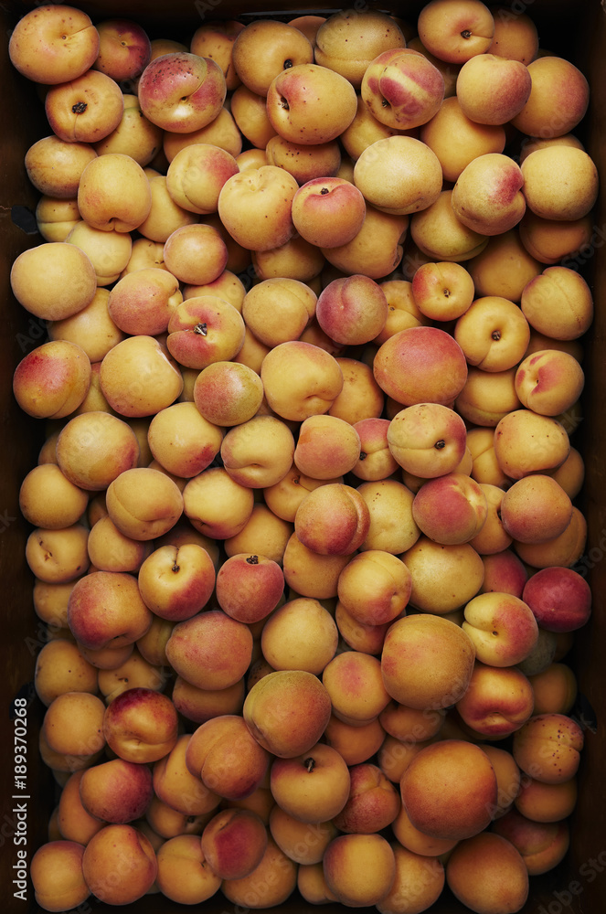 Apricots Apricots