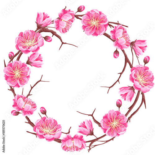 Fototapeta Naklejka Na Ścianę i Meble -  Frame with sakura or cherry blossom. Floral japanese ornament of blooming flowers