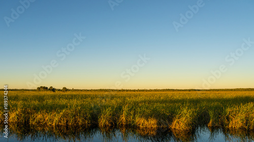 USA, Florida, Endless wide sawgrass landscape of everglades at dawn