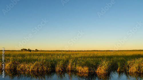 Obraz na płótnie USA, Florida, Endless wide sawgrass landscape of everglades at dawn w salonie