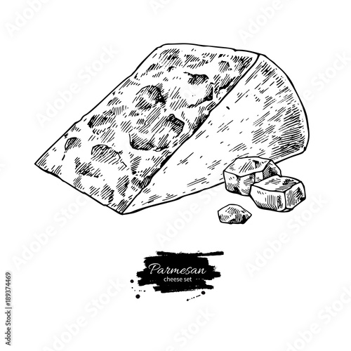 Parmesan cheese  drawing. Vector hand drawn food sketch. Engrave