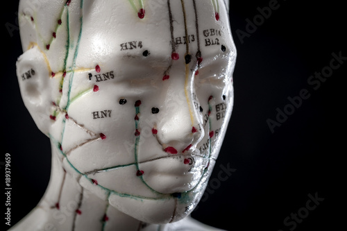 Fototapeta Naklejka Na Ścianę i Meble -  Alternative medicine and east asian healing methods concept with acupuncture dummy model with copy space. Acupuncture is the practice of inserting needles in the subcutaneous tissue, skin and muscles
