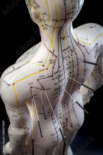 Alternative medicine and east asian healing methods concept with an acupuncturist dummy or model. Acupuncture is the practice of inserting needles in the subcutaneous tissue, skin and muscles