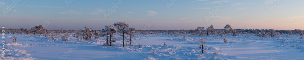 Beauty sunrise in bog Kakerdaja in cold winter morning