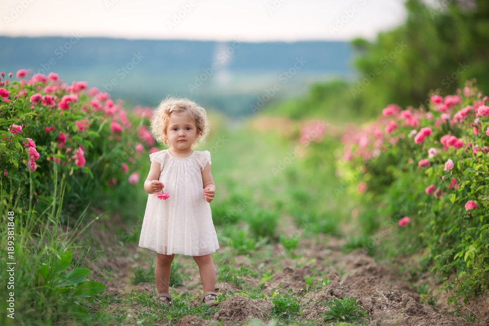 Pretty curly child girl is walking in spring garden with pink blossom roses flowers, sunset time Pretty curly child girl is walking in spring garden with pink blossom roses flowers, sunset time