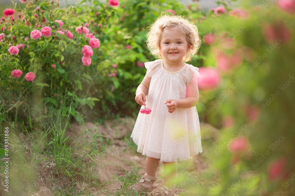 Pretty curly child girl is walking in spring garden with pink blossom roses flowers, sunset time Pretty curly child girl is walking in spring garden with pink blossom roses flowers, sunset time