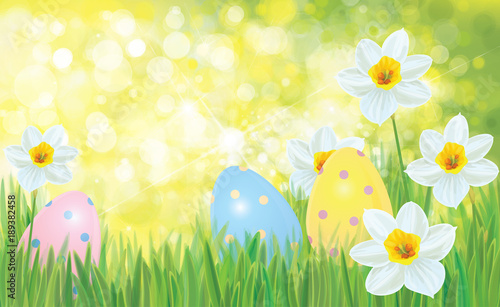 Vector Easter eggs in grass and daffodils  Easter background.