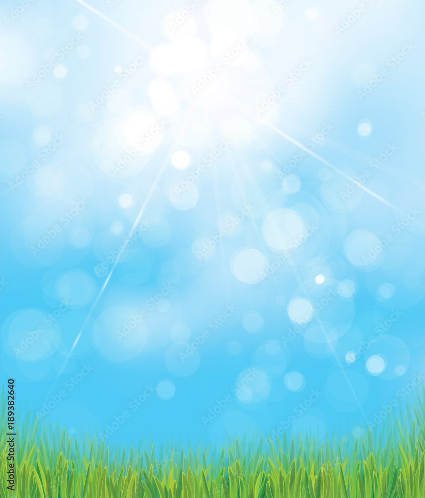 Naklejka premium Vector nature background, green grass, blue, sunny sky bokeh background.