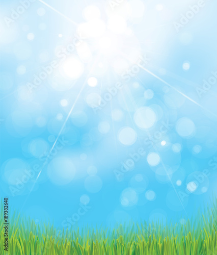 Vector  nature  background, green grass,  blue, sunny  sky  bokeh background.